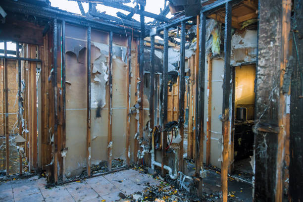 Professional Smoke Damage Restoration technician working in Maple Lake, MN